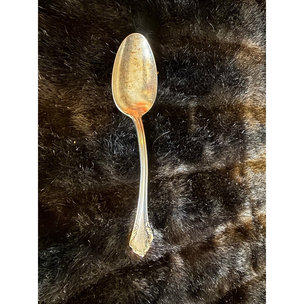The Plaza New York Hotel Silver 8.5" Small Spoon Reed & Barton